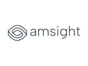 amsight Logo AI.STARTUP.HUB